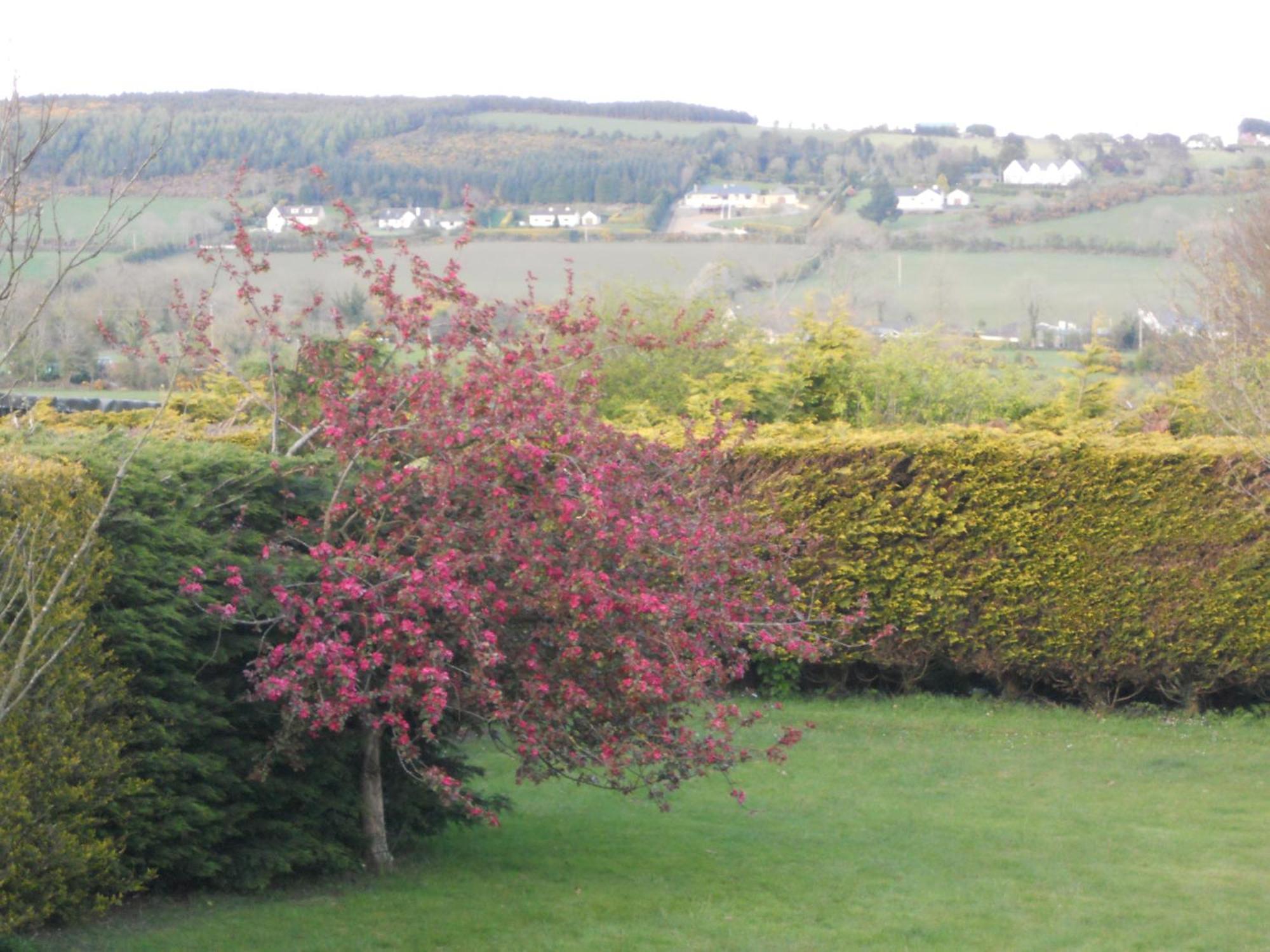 Rhu Glenn Waterford